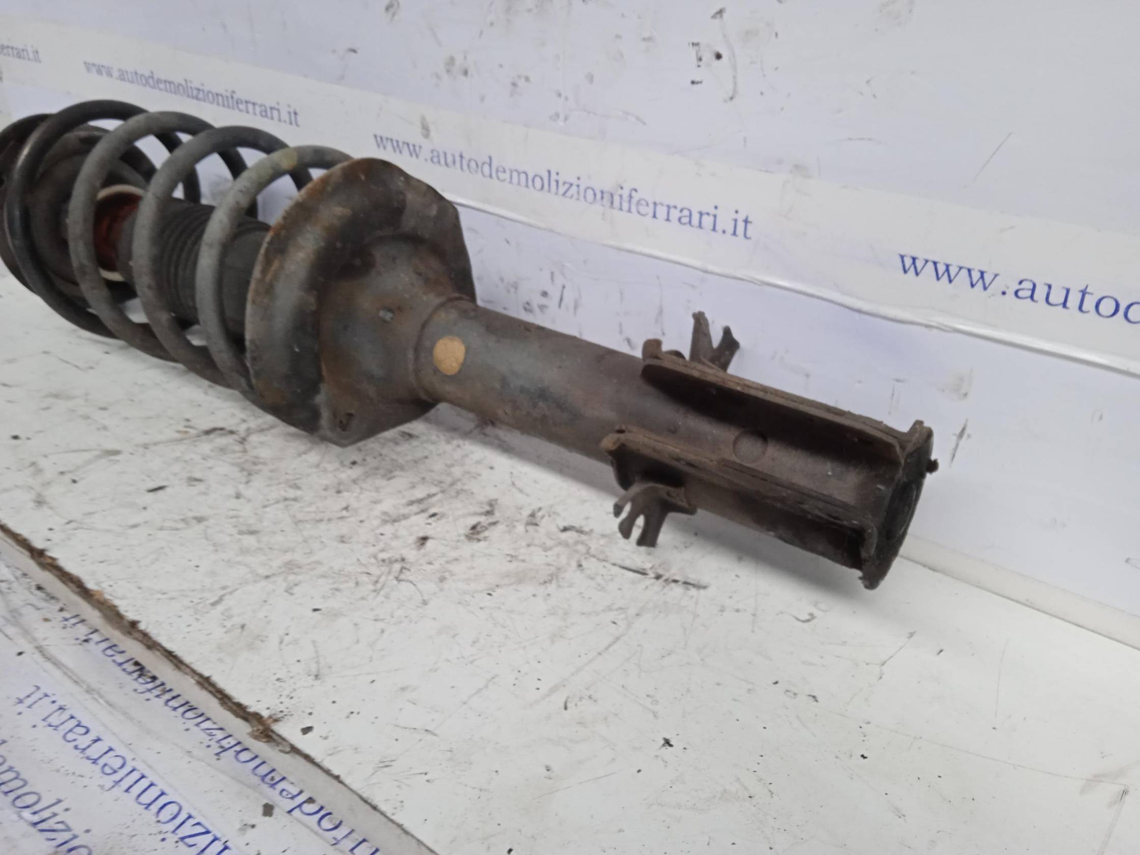 Ammortizzatore ant. sx.